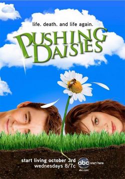 Мертвые до востребования — Pushing Daisies (2007-2008) 1,2 сезоны
